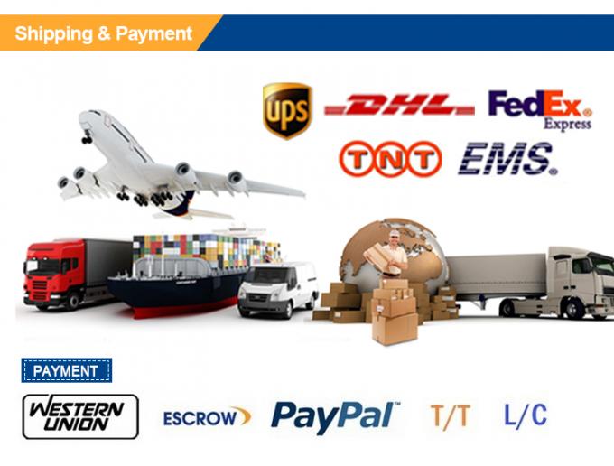 Leve seus valores: Bolsas biodegradáveis premium com logotipo em negrito e impressão a cores 4