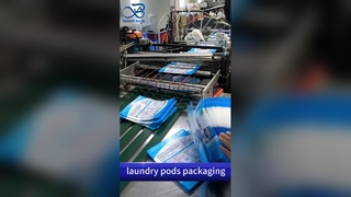 Saco Zip Lock para cápsulas de lavanderia: Bolsas herméticas impressas personalizadas B2B, resistentes a crianças e à prova de vazamentos