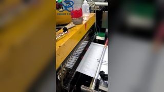 Os sacos foscos impressos costume do glassine personalizaram o saco reciclável do presente do logotipo