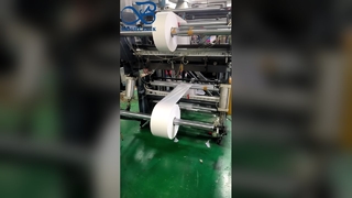 O FSC reciclou o malote ecológico do armazenamento da roupa dos sacos do vestuário do Glassine