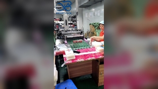 O malote plástico Eco-amigável do bico dos compostos Leakproof levanta-se o malote da bebida