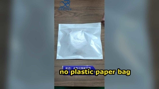 Nenhum malote de empacotamento da roupa Compostable do vestuário do fato de Eco do saco de papel plástico