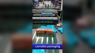 Bolsa com bloqueio infantil para cannabis: bolsa personalizada B2B à prova de cheiro em conformidade com a patente dos EUA no atacado