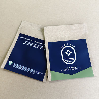 Bolsas de papel Kraft impressas sob medida Ordem a granel Impressão de logotipo ecológico de 10 cores.